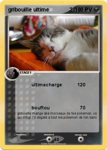 Pokemon gribouille ultime              2 