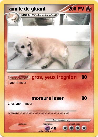 Pokemon famille de gluant