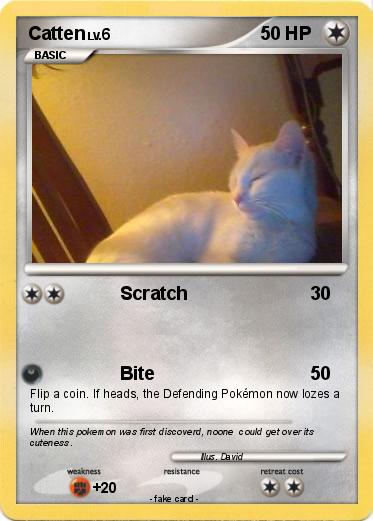 Pokemon Catten