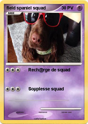 Pokemon field spaniel squad