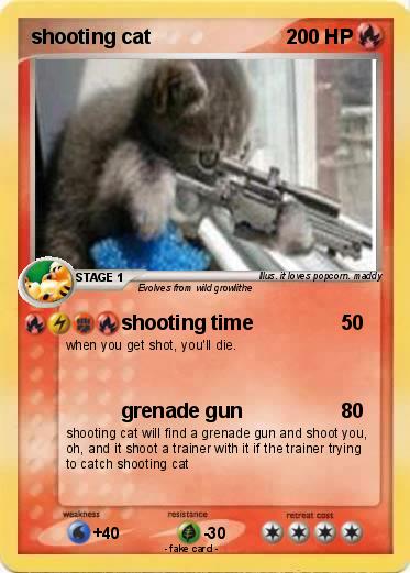 Pokemon shooting cat