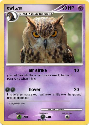 Pokemon owl