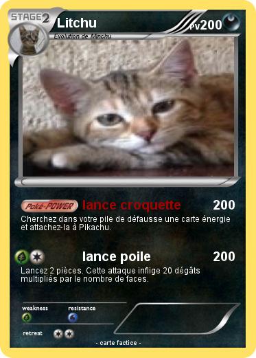 Pokemon Litchu