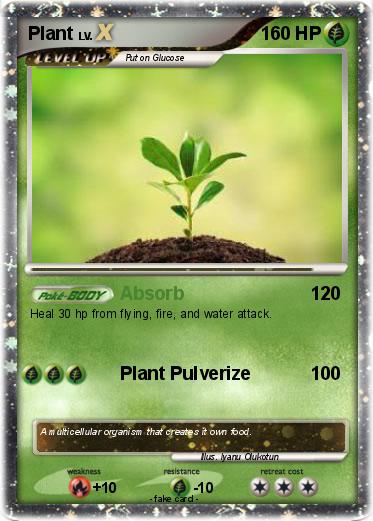 Pokemon Plant