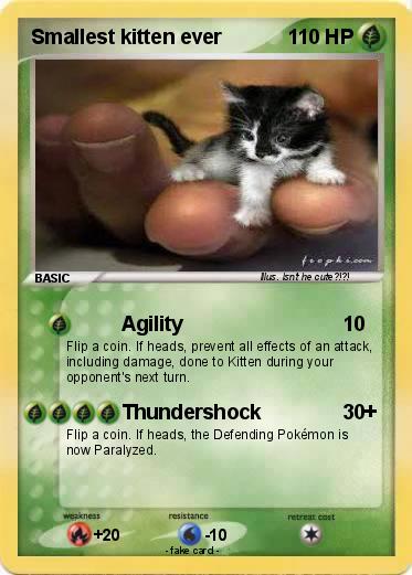 Pokemon Smallest kitten ever