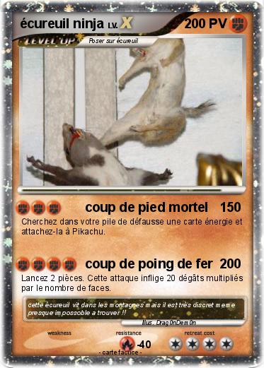 Pokemon écureuil ninja
