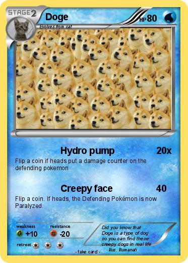 Pokemon Doge