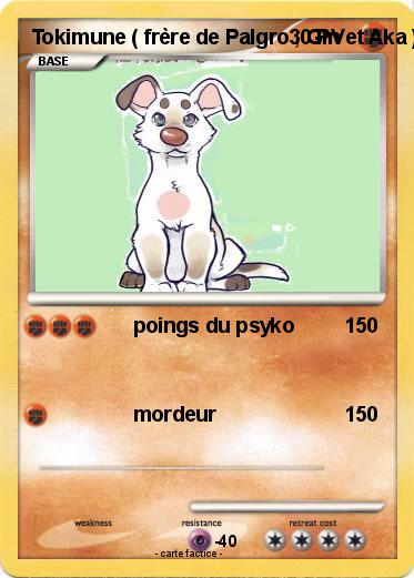 Pokemon Tokimune ( frère de Palgro , Gin et Aka )