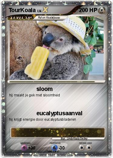 Pokemon TourKoala