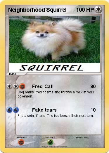 Pokemon Neighborhood Squirrel