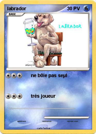 Pokemon labrador