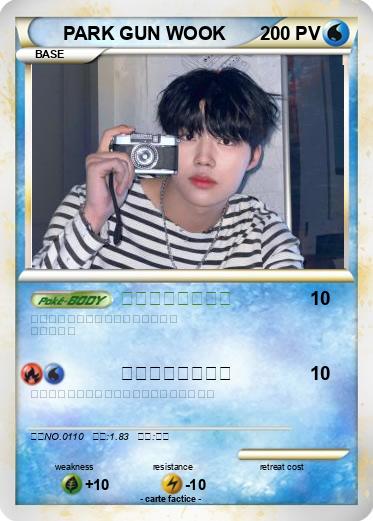 Pokemon PARK GUN WOOK
