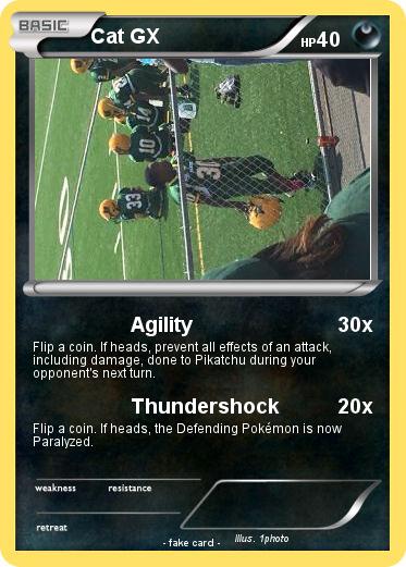 Pokemon Cat GX