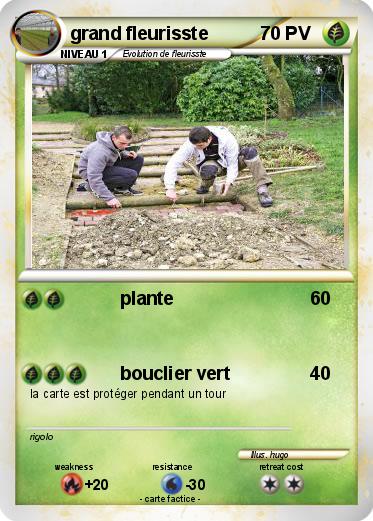 Pokemon grand fleurisste