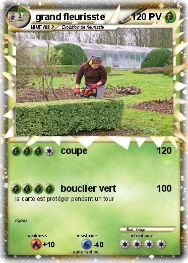 Pokemon grand fleurisste