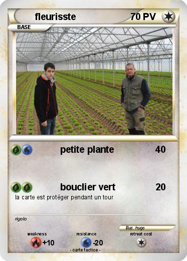 Pokemon fleurisste
