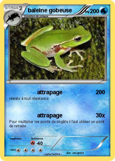 Pokemon baleine gobeuse