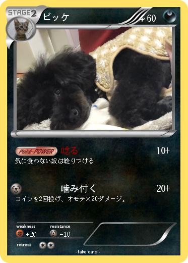 Pokemon ビッケ