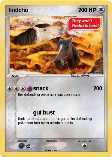Pokemon findchu