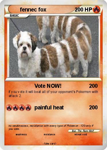 Pokemon fennec fox