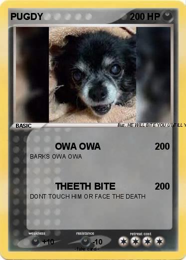 Pokemon PUGDY