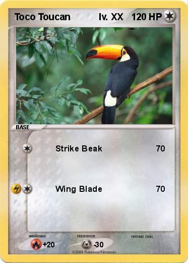 Pokemon Toco Toucan           lv. XX