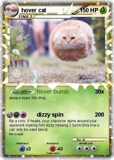 Pokemon hover cat