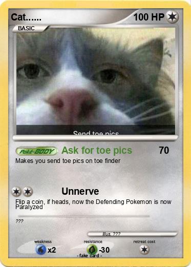 Pokemon Cat......