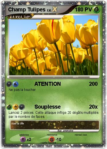 Pokemon Champ Tulipes