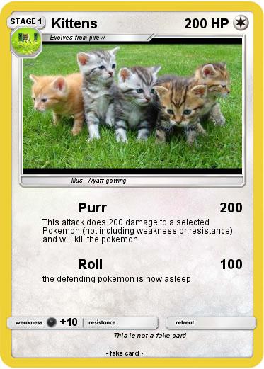 Pokemon Kittens