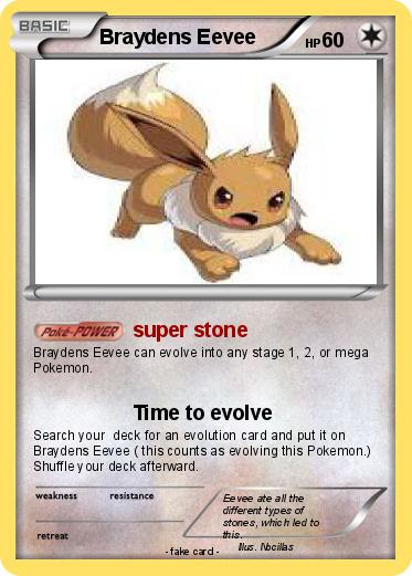 Pokemon Braydens Eevee