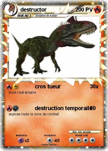 Pokemon destructor