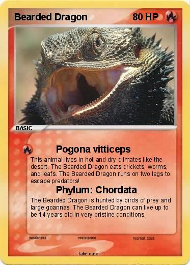Pokemon Bearded Dragon