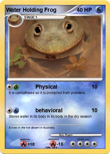 Pokemon Water Holding Frog