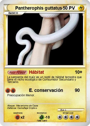 Pokemon Pantherophis guttatus