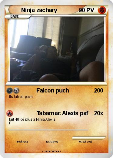 Pokemon Ninja zachary