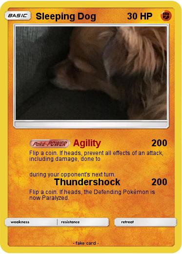 Pokemon Sleeping Dog