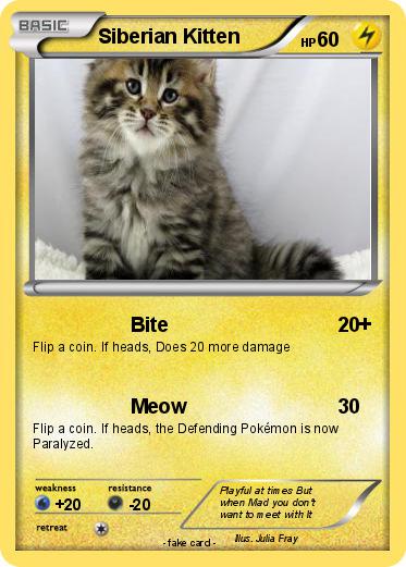 Pokemon Siberian Kitten