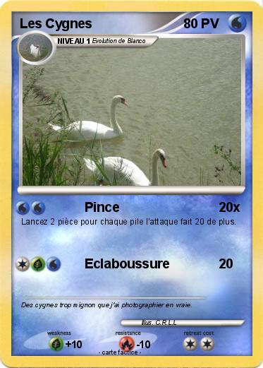 Pokemon Les Cygnes