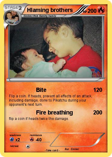 Pokemon Hlaming brothers
