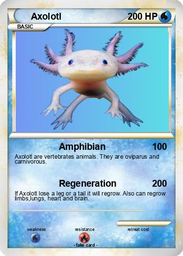 Pokemon Axolotl
