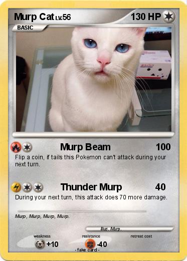 Pokemon Murp Cat