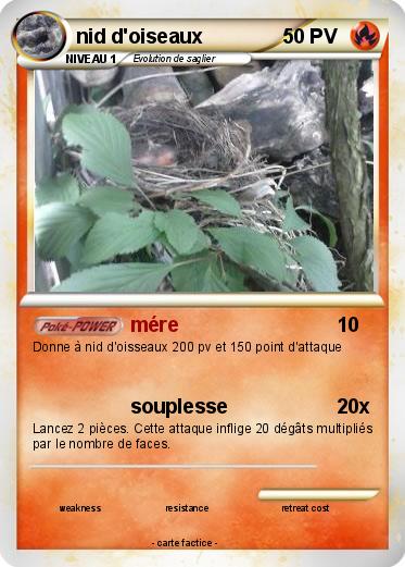 Pokemon nid d'oiseaux