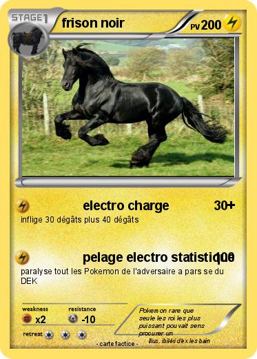 Pokemon frison noir