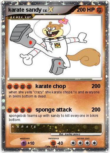 Pokemon karate sandy