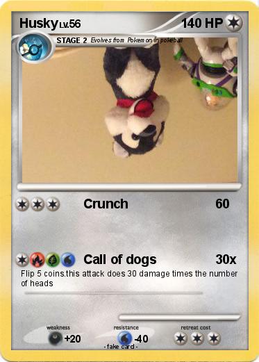 Pokemon Husky