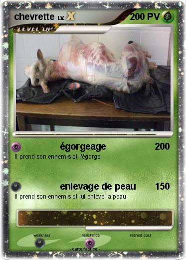 Pokemon chevrette