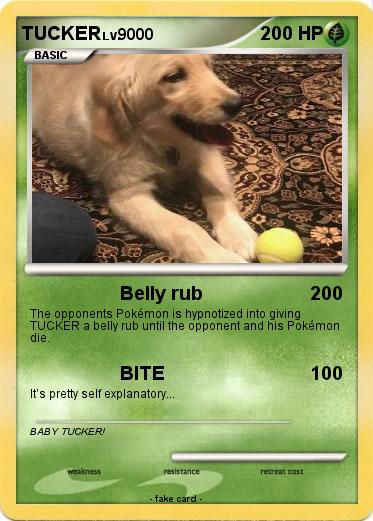 Pokemon TUCKER