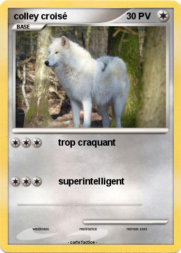 Pokemon colley croisé