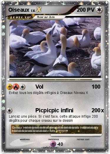 Pokemon Oiseaux